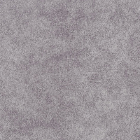 Kashemir 890
