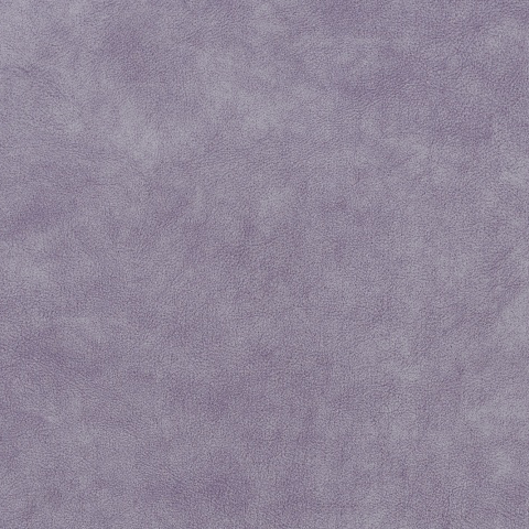 Kashemir 894